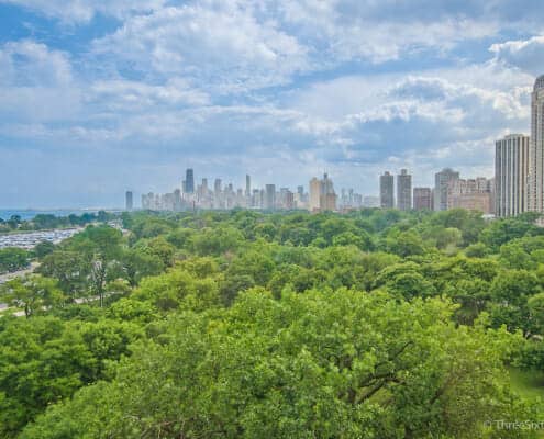 Living In Lincoln Park Chicago, Lincoln Park Real Estate, Lincoln Park Homes, Lincoln Park Condos