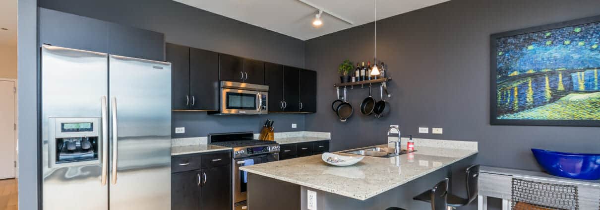 860 W Blackhawk St Chicago - kitchen